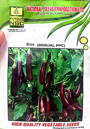 NSC Brinjal PPC TL