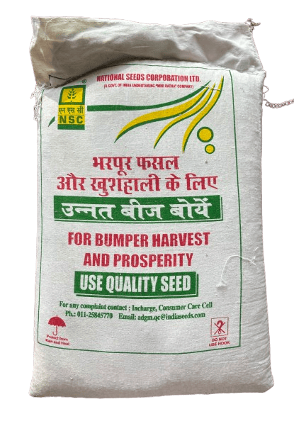 NSC Jowar Variety: CSH24MF CS
