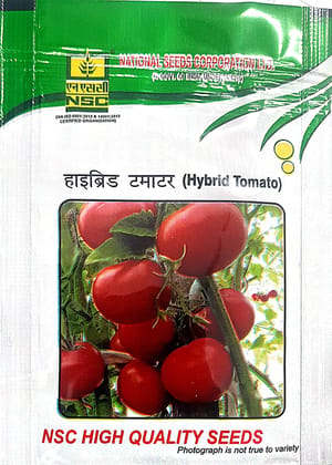 NSC Tomato Arka Samrat TL