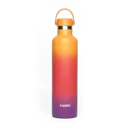 Camel Hydro Vacuum Sports Bottle Stainless Steal 500 ML