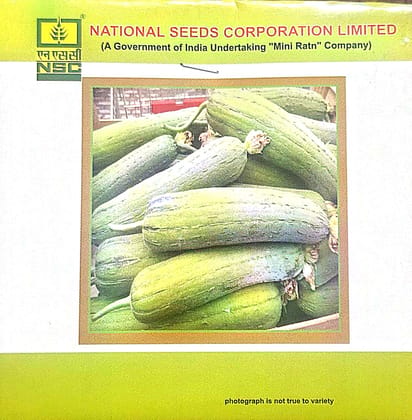 NSC Sponge gourd Kashi Shreya, 5 gram TL Seed