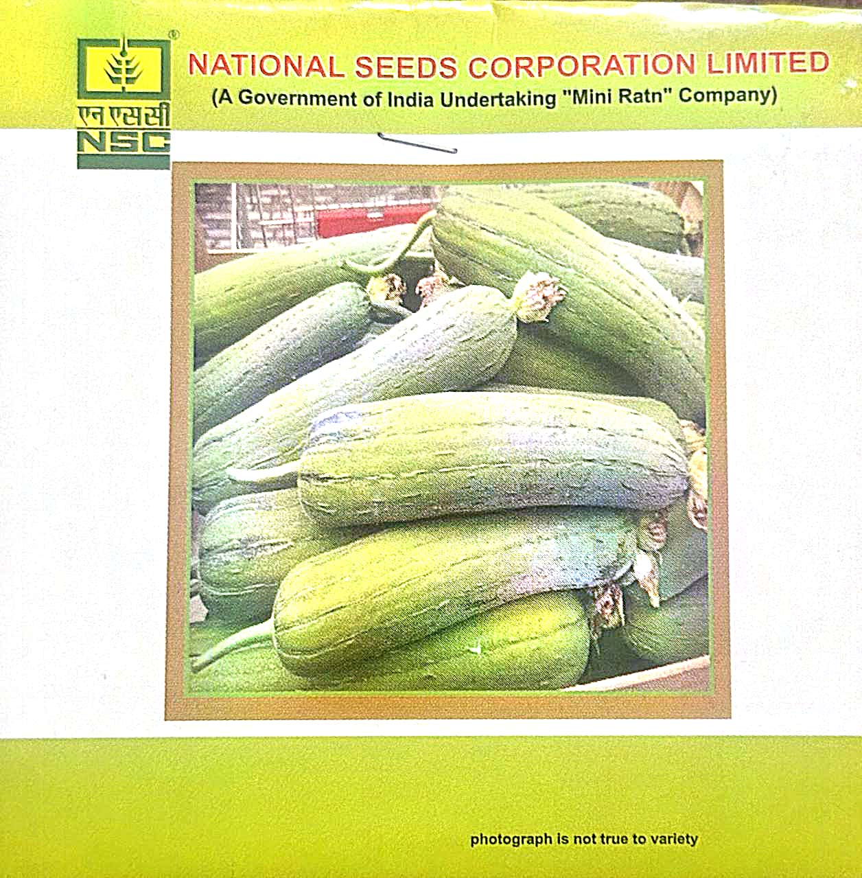 NSC Sponge gourd Kashi Shreya, 5 gram TL Seed