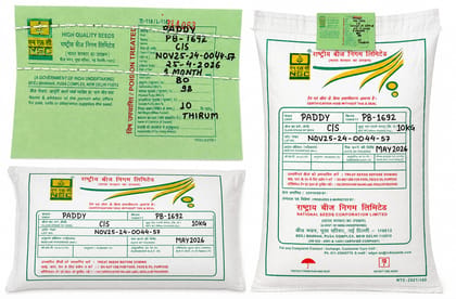 PADDY PUSA BASMATI -1692 CERTIFIED SEEDS