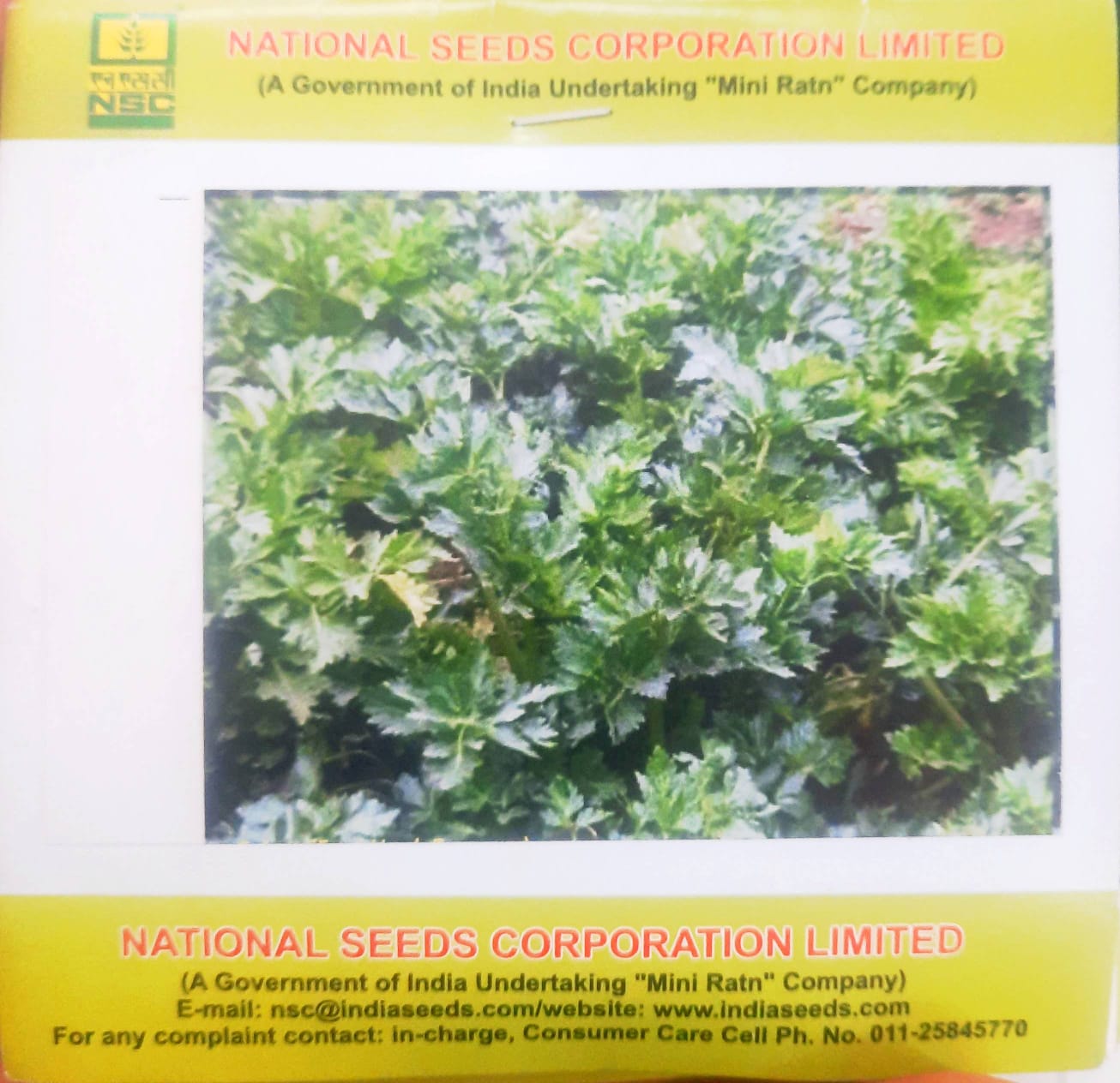 NCS Celery Ford Hook Emperior TL