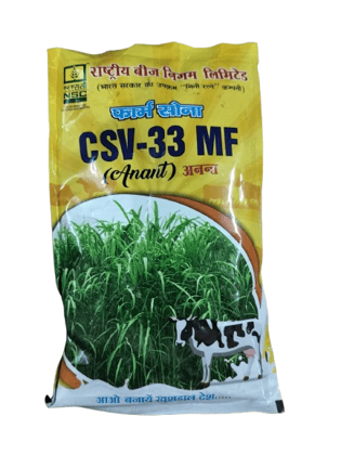 NSC Sorghum Sudan Grass Seeds CSV-33 MF (Anant) - 250 gm packing