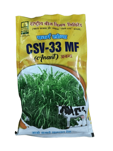 NSC Sorghum Sudan Grass Seeds CSV-33 MF (Anant) - 250 gm packing