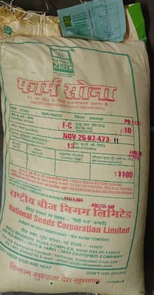 NSC Paddy PB-1121 CS, 10kg