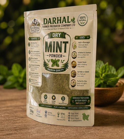 Darhal Dry Mint Powder - 100g