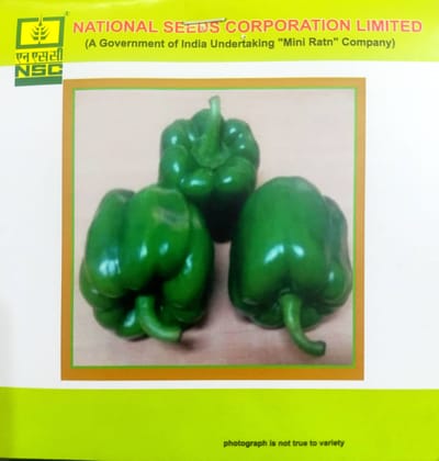 Nsc Vegetable Seed - Capsicum - California Wonder - 2 Gms
