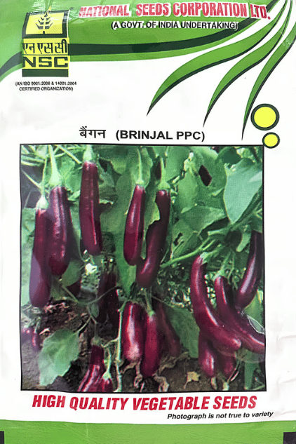 NSC Brinjal Pusa Purple Cluster (PPC), 10 gram T/L Seeds