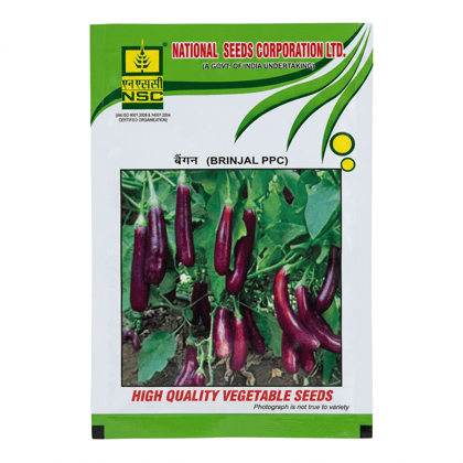 NSC BRINJAL/PPC
