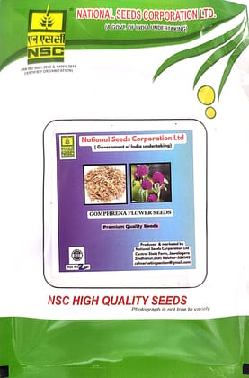 NSC Gomphrena Flower Seeds, 2 Gram TL seeds