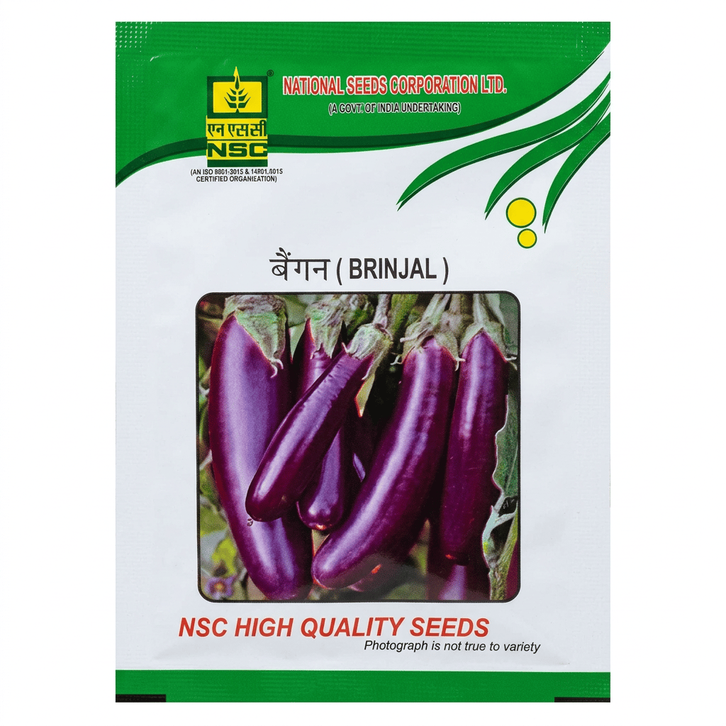 NSC BRINJAL/PPL