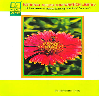 NSC Gaillardia Mix 2 gm Pack NSC Gaillardia Mix 2 gm Pack