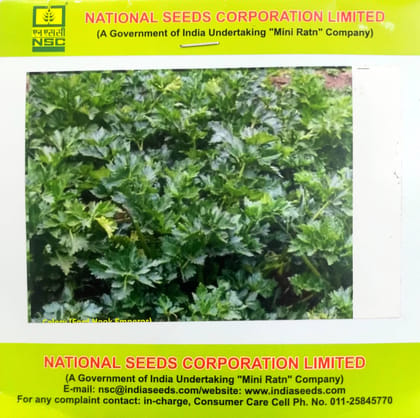 NSC Vegetable Seed - Celery - Ford Hook Emperor - 5 gm