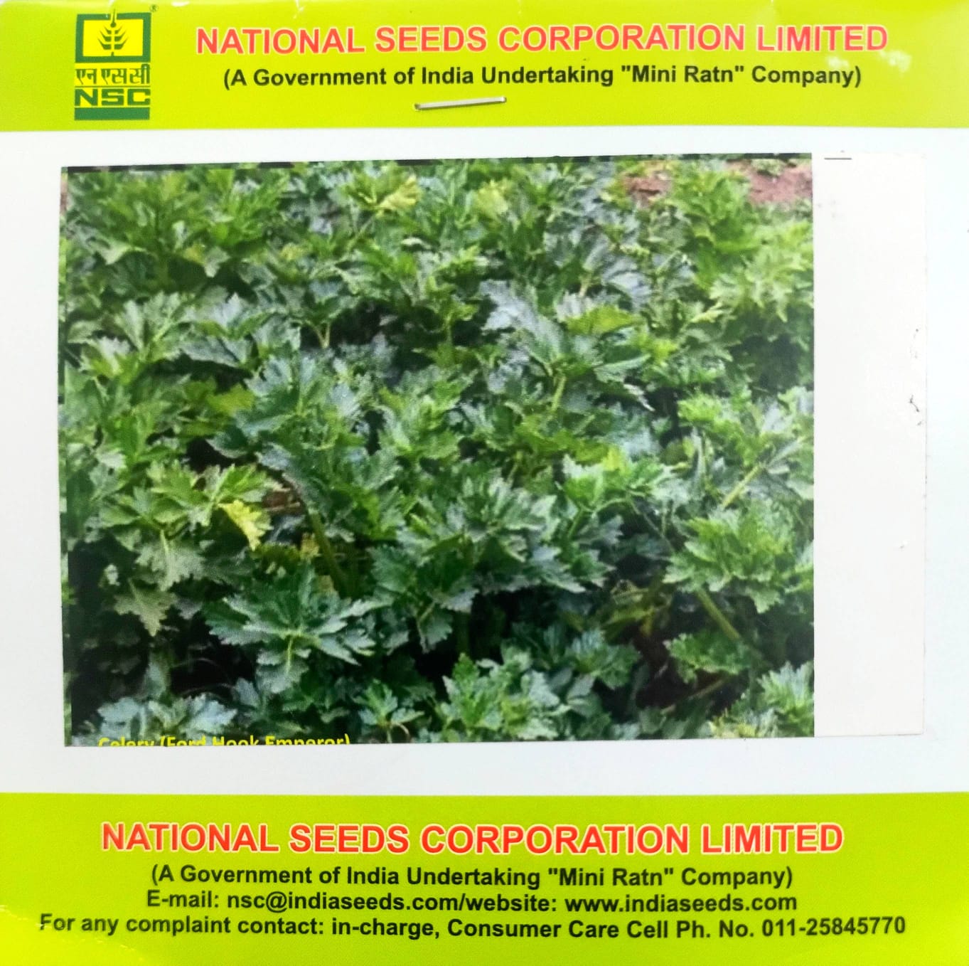 NSC Vegetable Seed - Celery - Ford Hook Emperor - 5 gm