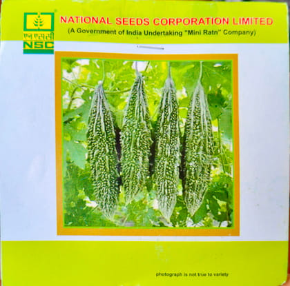 NSC BITTER GOURD/KASHI PRASHTHA