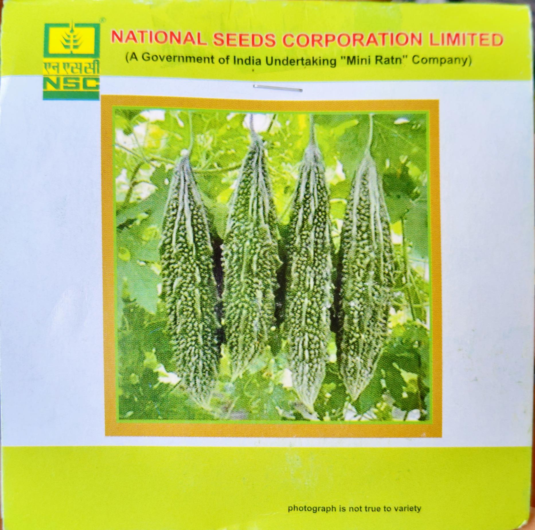 NSC BITTER GOURD/KASHI PRASHTHA