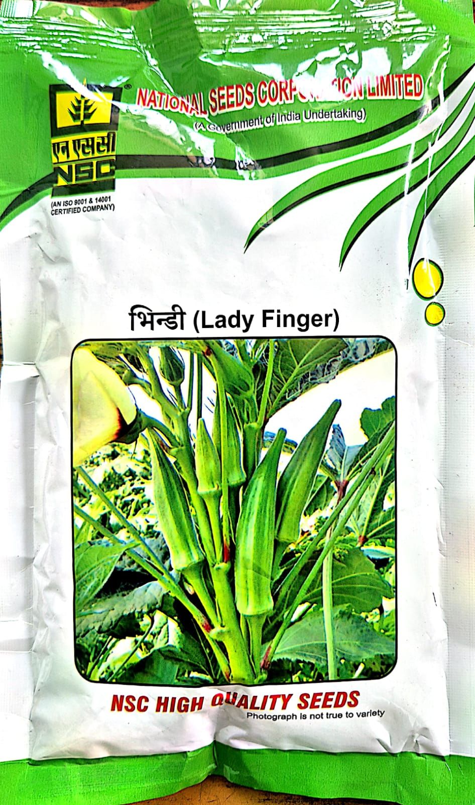 NSC-BHINDI/PUSA-5/TL-250GMS Seeds