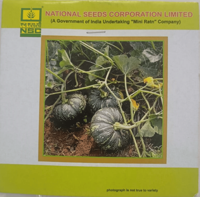 NSC Pumpkin Variety - Kashi Harit Seeds (5gm)