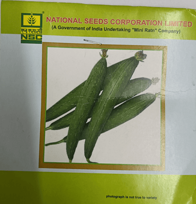 NSC Sponge Gourd Variety Kashi Jyoti Seeds (5gm)