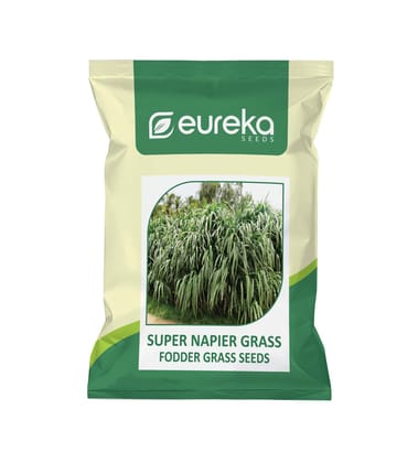 Eureka Seeds Super Napier Grass
