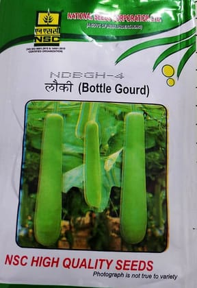 NSC BOTTLEGOURD NDBGH-4 10 GM PACK NSC BOTTLEGOURD NDBGH-4 10 GM PACK