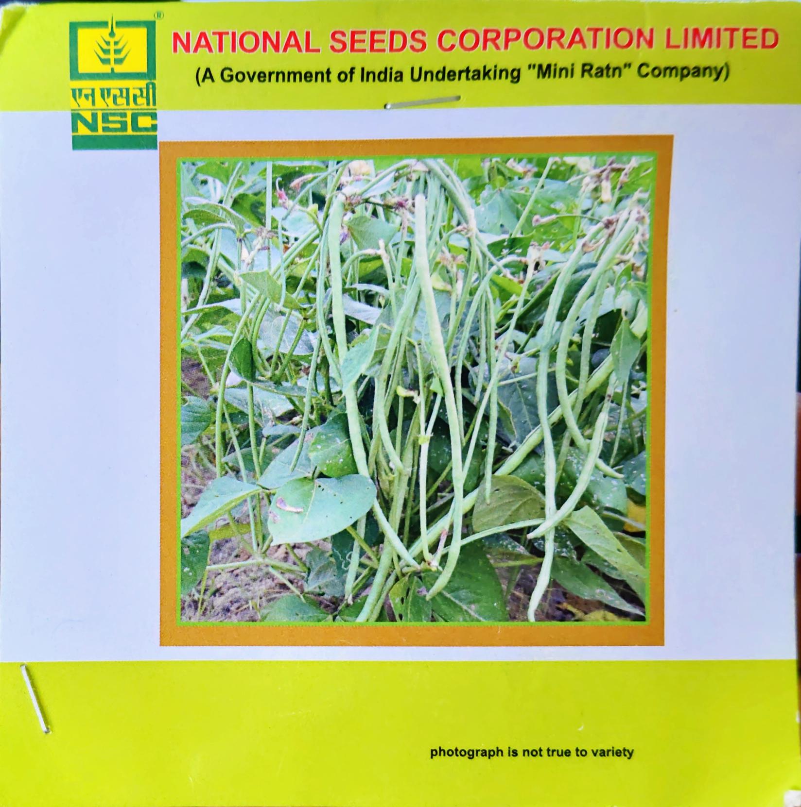 NSC COWPEA/KASHI NIDHI