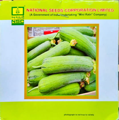 NSC SPOUNG GOURD-KASHI SHREYA