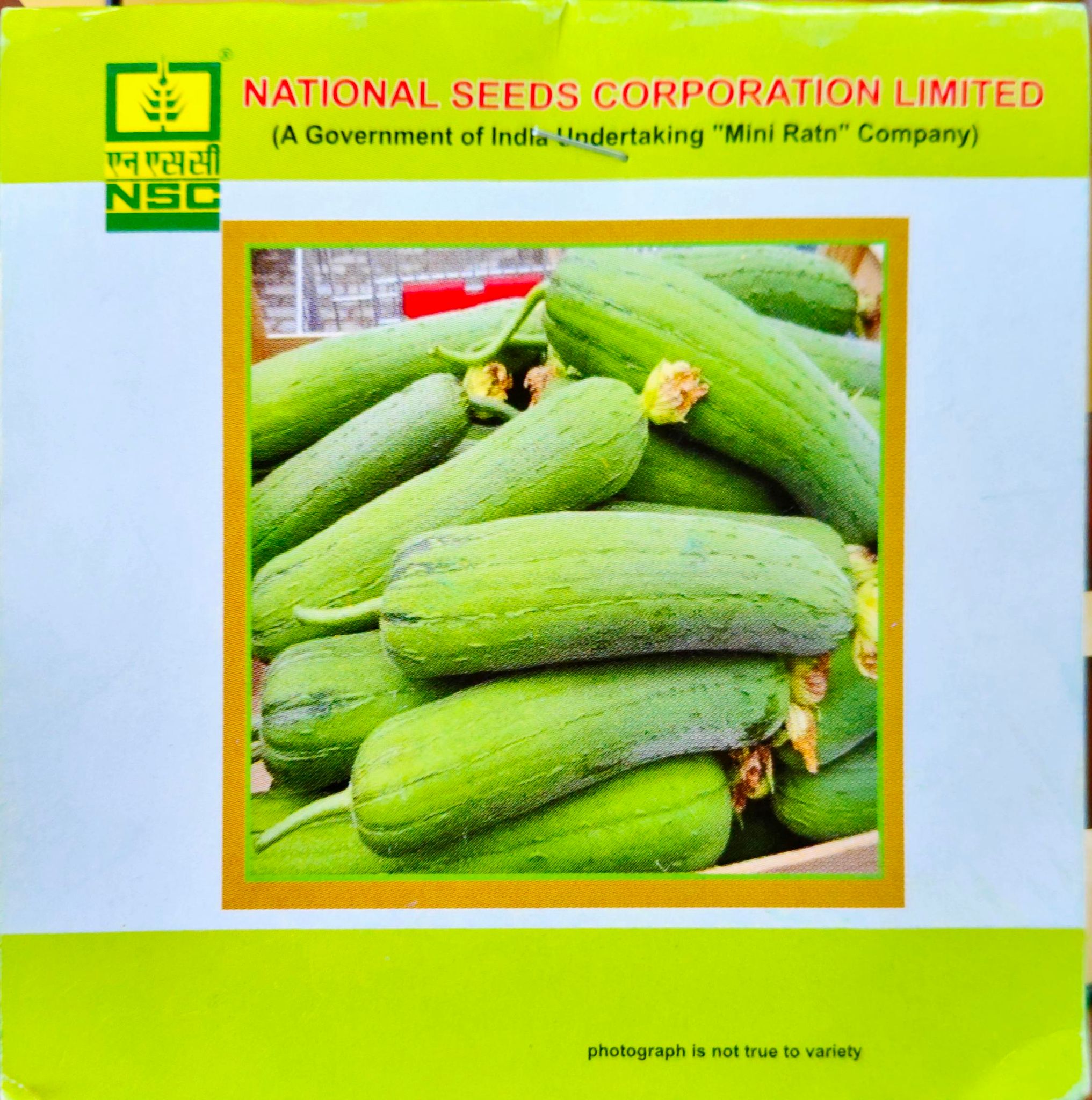 NSC SPOUNG GOURD-KASHI SHREYA