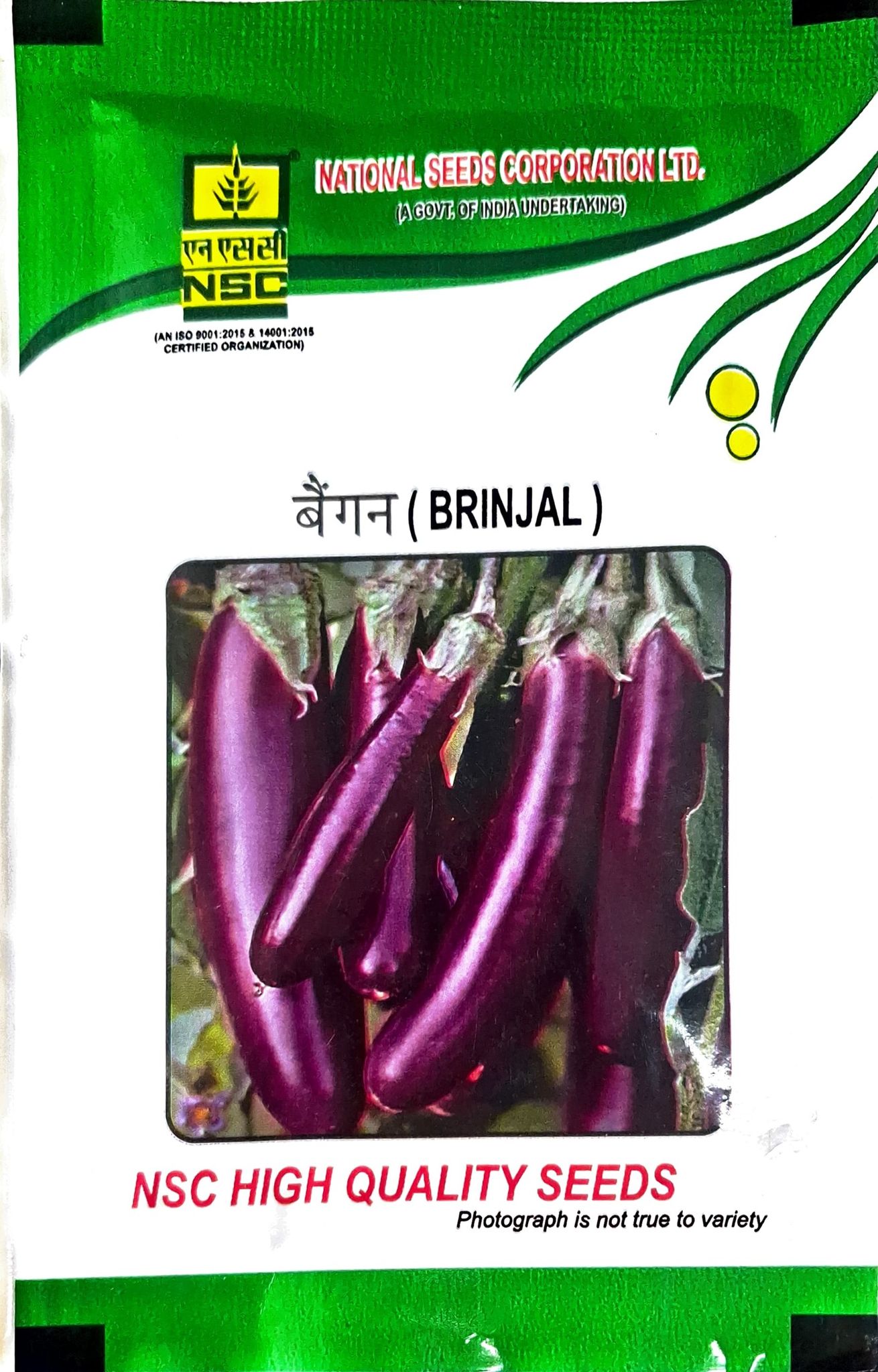 NSC Brinjal Pusa Purple Long (PPL) variety, 10 gram T/L seed