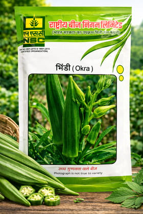 NSC Okra (Bhendi) Pusa-5 Variety, 250 gram Truthfully Labelled Seed Pouch