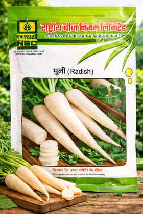 NSC Radish Kashi Aadra Variety, 100 Gram Truthfully Labelled Seed Pouch