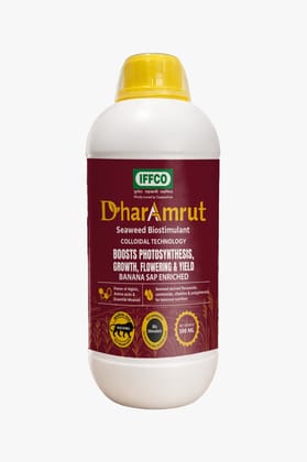 Dhar Amrut Seaweed biostimulant