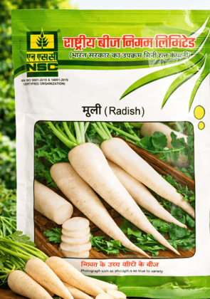 NSC RADISH KASHI AADRA T/L