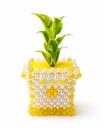 Faux Artificial Plant in Yellow and White Pearl Beaded Pot Faux Artificial Plant in Yellow and White Pearl Beaded Pot