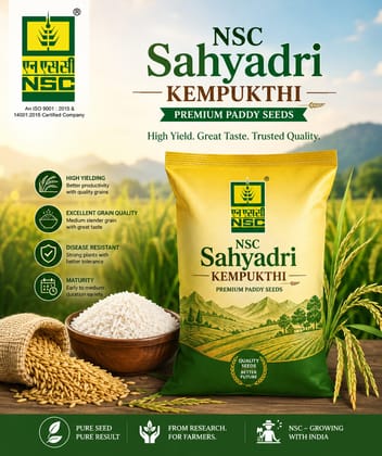 Paddy Sahydri Kempukthi 5 kg seeds