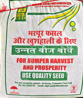 NSC MUSTARD - RH761
