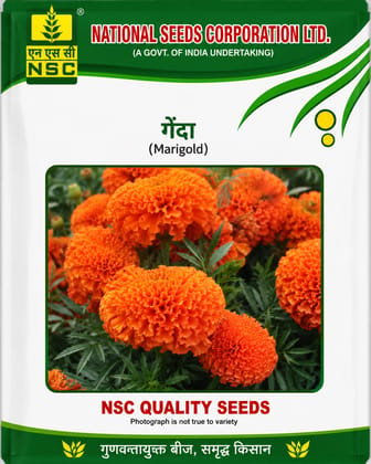 NSC Flower-Marigold- Pusa Narangi- 10 g truthfully Labelled Seed Pouch