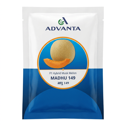 Advanta Madhu 149 F1 Hybrid Musk Melon Seeds Advanta Madhu 149 F1 Hybrid Musk Melon Seeds