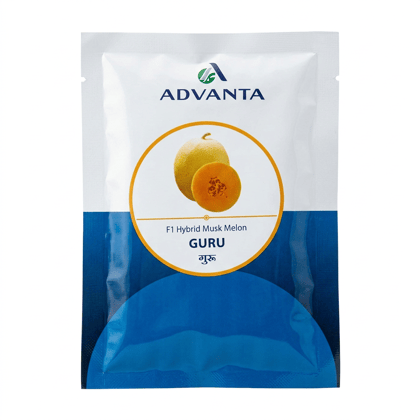Advanta Guru F1 Hybrid Musk Melon Seeds - 50 g Advanta Guru F1 Hybrid Musk Melon Seeds - 50 g