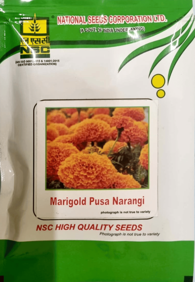 NSC Pusa Narangi | High - Quality T/L Seeds | 10 GMS Pouch 