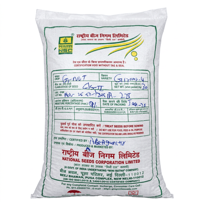 Groundnut Pod-Girnar 4