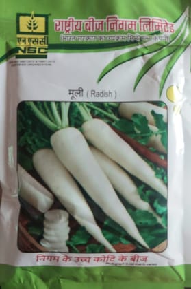 NSC RADISH/KASHI AADRA/100gm/TL SEEDS