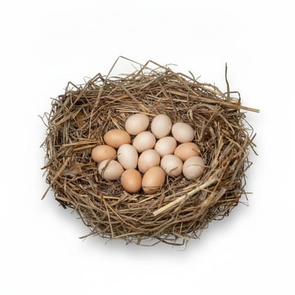 Farm Fresh Eggs - 2 kg - One carton of eggs