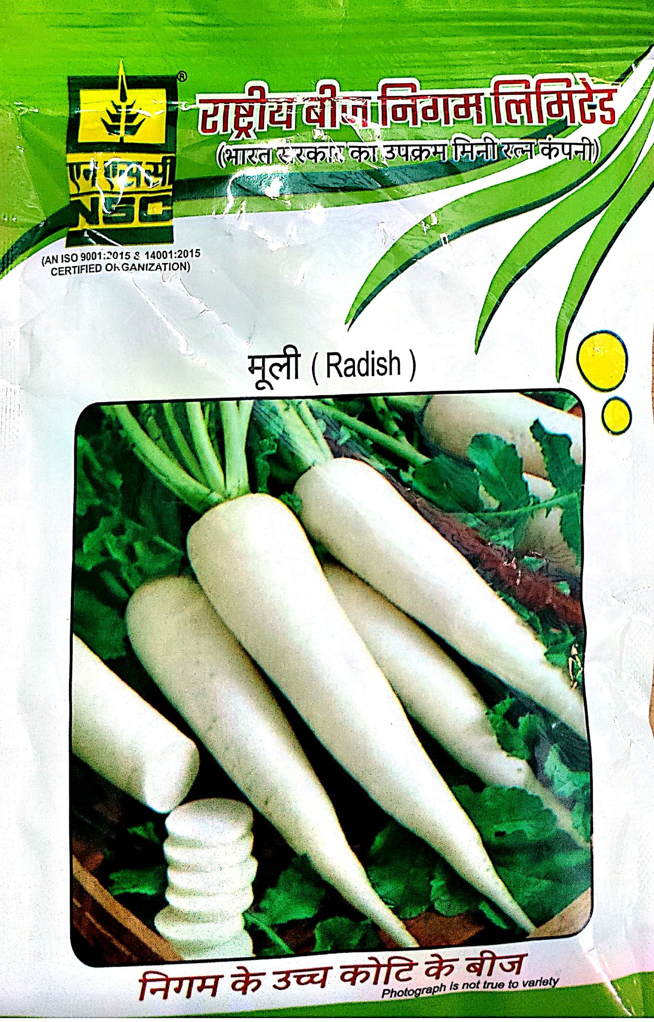 NSC Radish Kashi-Aadra T/L Seeds 100 GMS