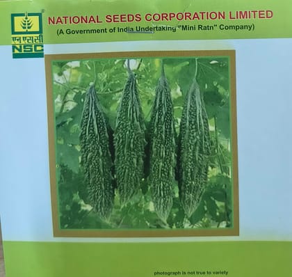 NSC Bitter gourd Pusa Vishesh Seed, 10gm 