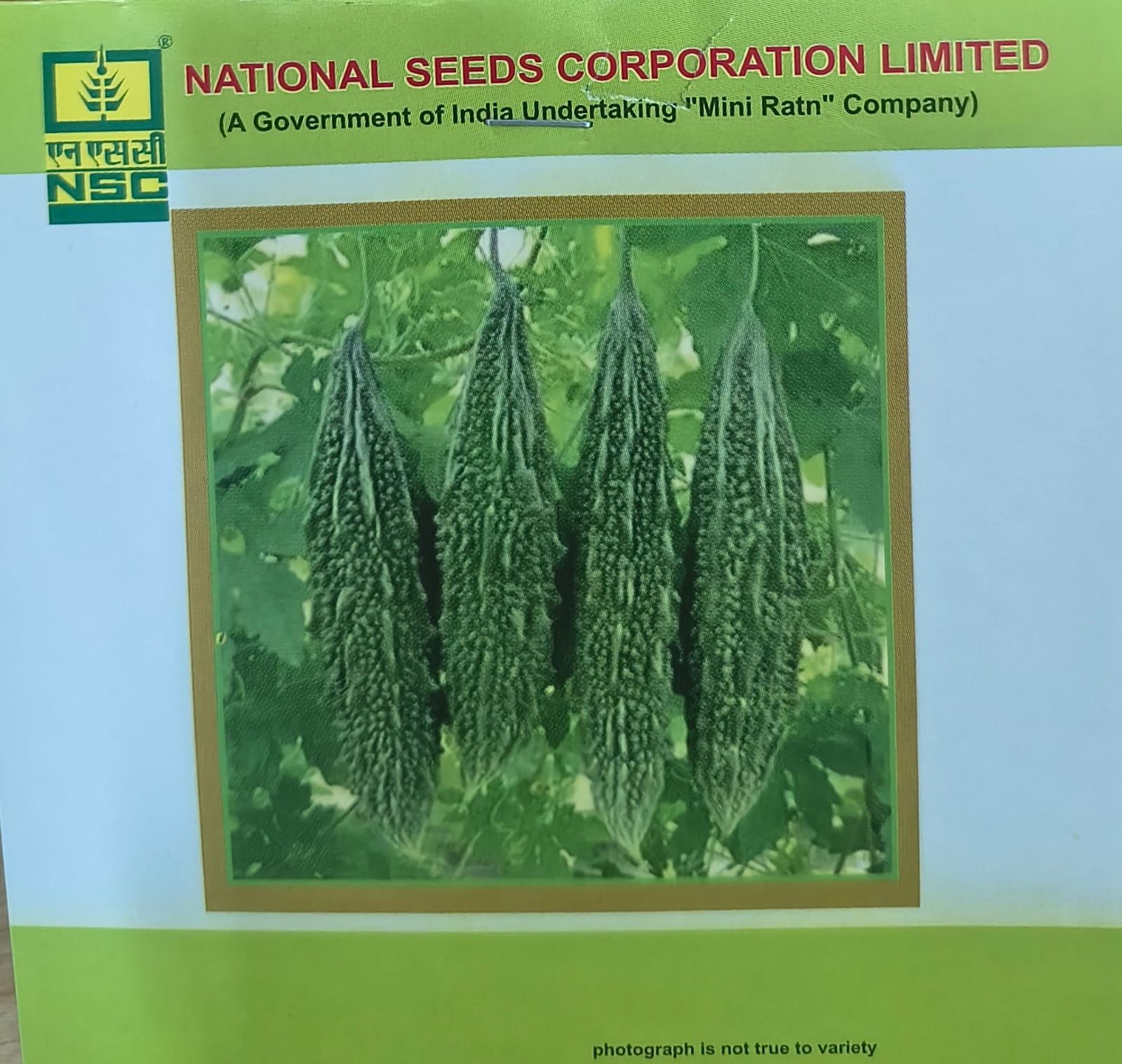 NSC Bitter gourd Pusa Vishesh Seed, 10gm 