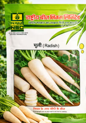 NSC Radish Kashi Aadra T/L