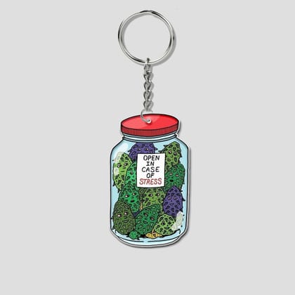Stress buster Keychain